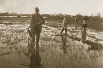 Schnepfenjagd, 1886 von Peter Emerson und Thomas Goodall